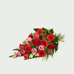 Intens rood Intens rood