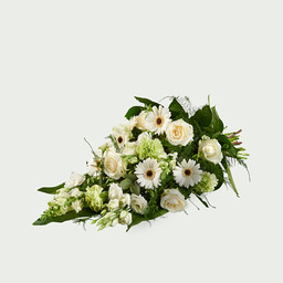 Intens wit Intens wit