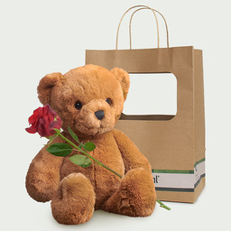 Teddybeer met roos