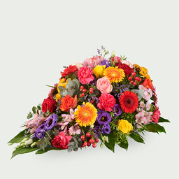 Elegant bont Elegant bont