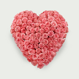 Sereen hart roze