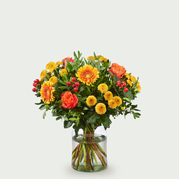Boeket Noor Boeket Noor