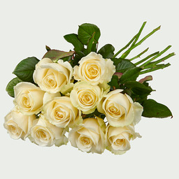 Uitvaart Losse rozen wit Uitvaart Losse rozen wit