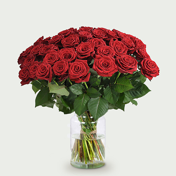 10 of meer lange rode rozen - I Fiori