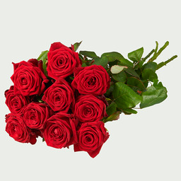 Uitvaart Losse rozen rood Uitvaart Losse rozen rood