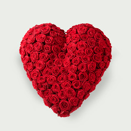 Sereen hart rood Sereen hart rood