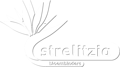 (c) Strelitzia.nl